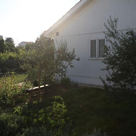 Kucica Ljubcek Villa Privlaka  Cameră foto