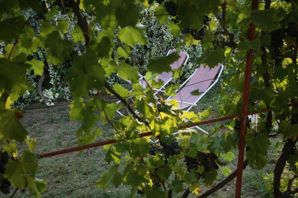 Kucica Ljubcek Villa Privlaka  Cameră foto